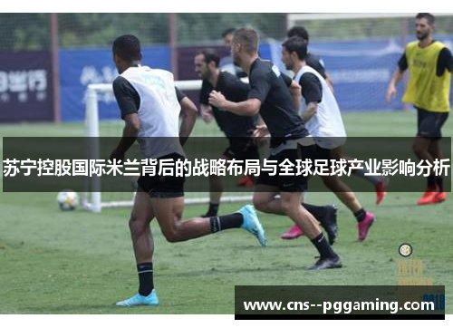 苏宁控股国际米兰背后的战略布局与全球足球产业影响分析 苏宁控股国际米兰背后的战略布局与全球足球产业影响分析
