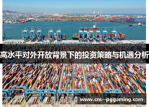 高水平对外开放背景下的投资策略与机遇分析 高水平对外开放背景下的投资策略与机遇分析