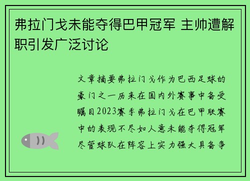 弗拉门戈未能夺得巴甲冠军 主帅遭解职引发广泛讨论